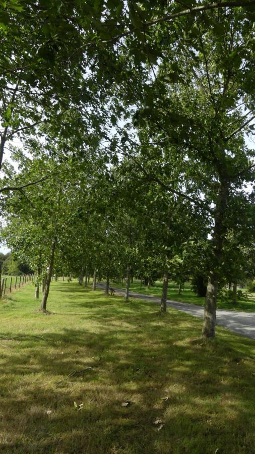 مبيت وإفطار Ménil La Petite Lande المظهر الخارجي الصورة